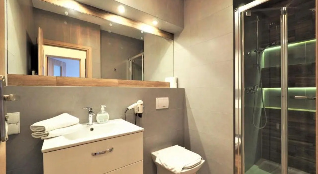 Апартаменты VIP Apartamenty Stara Polana