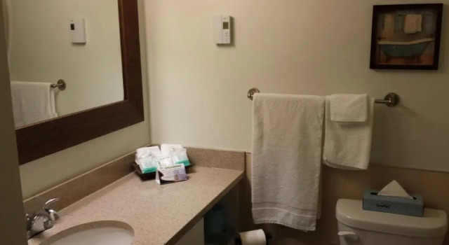 Двухместный номер Deluxe Hotel Vacances Tremblant