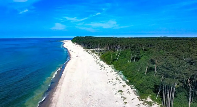 Domki Malibu