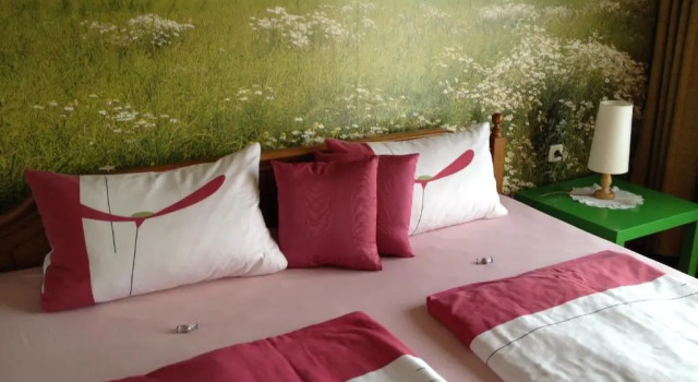 Двухместный номер Standard Antjes Schmankerlhotel und Restaurant