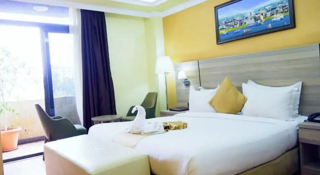 Номер Standard Holiday Hotel Addis Ababa