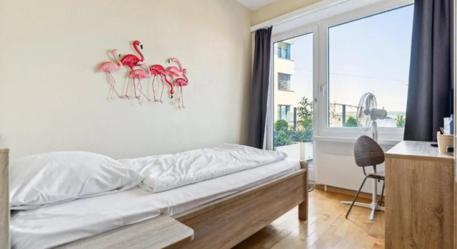 Одноместный номер Standard с балконом Hotel du Lac