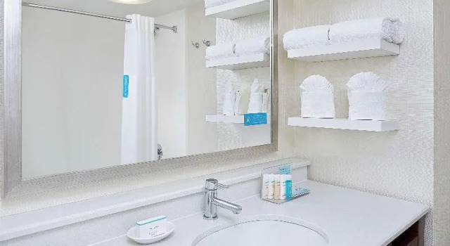 Шестиместный номер Standard Hampton Inn Dallas Irving Las Colinas