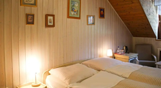 Двухместный номер Standard Hotel Maxant
