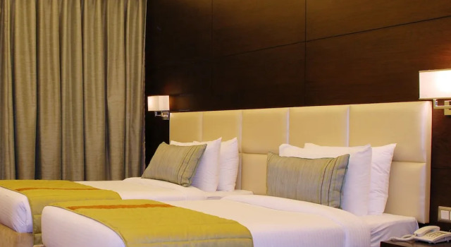 Номер Deluxe Hotel Africa Avenue - Greater Kailash 1