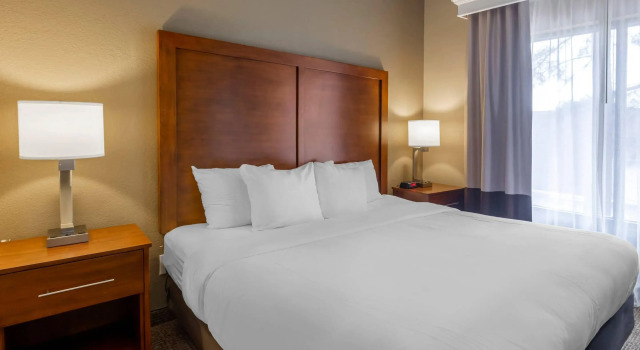Двухместный люкс Comfort Inn & Suites Peachtree Corners - Norcross