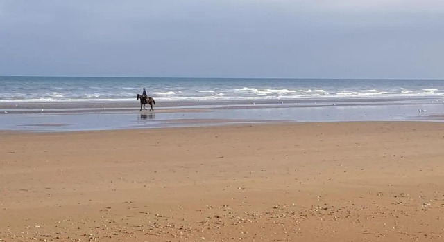 Апартаменты Appartement Cabourg près de la plage