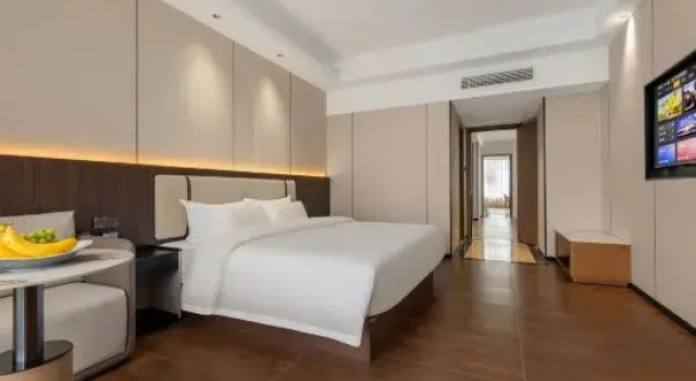 Suite Business Wugang Hotel