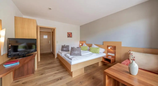 Одноместный номер Standard Hotel Salzburger Hof Leogang