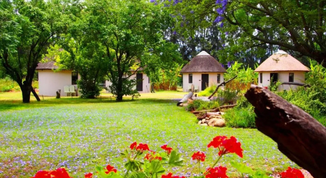 Двухместный номер Standard Addo African Home