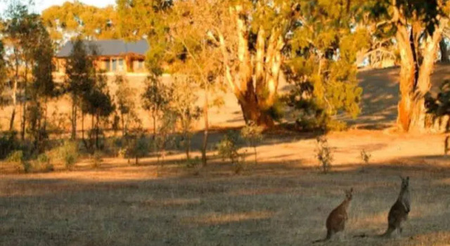 Kangaroos In The Top Paddock, Reserva ahora Hotel Hoteles de 3 estrellas en Wartook, 3*