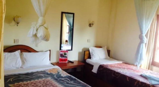 Hotel Jungle Vista