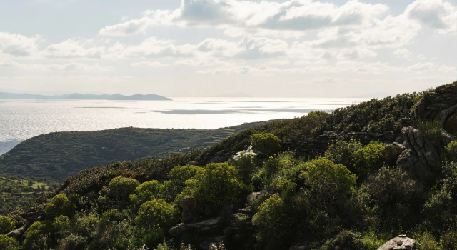 Люкс Stamna Sifnos a member of Design Hotels