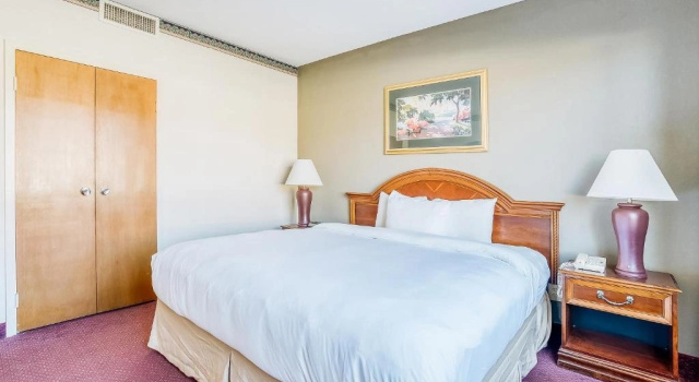 Одноместный люкс OYO Hotel Monroe LA I-20