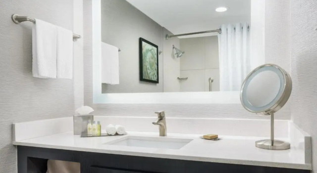 Двухместный номер with Bathtub Hearing/Mobility Accessible DoubleTree by Hilton Orlando Airport Hotel