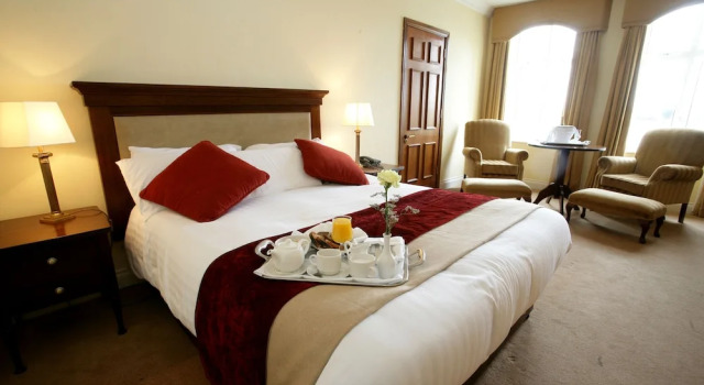 Двухместный номер Standard Park Hotel