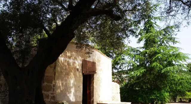 Студия La Corte degli Ulivi