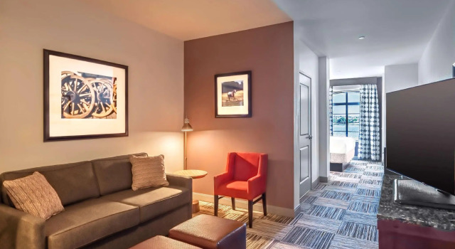 Двухместный полулюкс Hilton Garden Inn Granbury