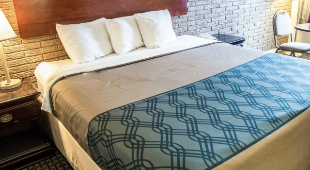 Номер Standard Rodeway Inn & Suites Wilmington North