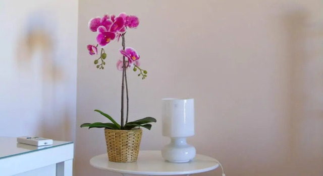 Номер Comfort Aloha Marzamemi Rooms
