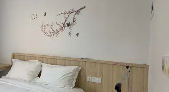 Люкс Jianle Mingshu Villa