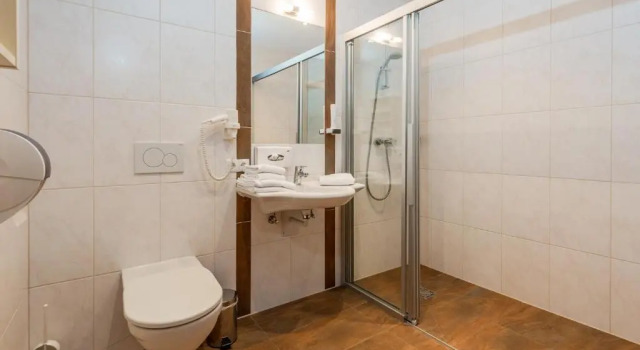 Двухместный номер Standard Hotel Winterer