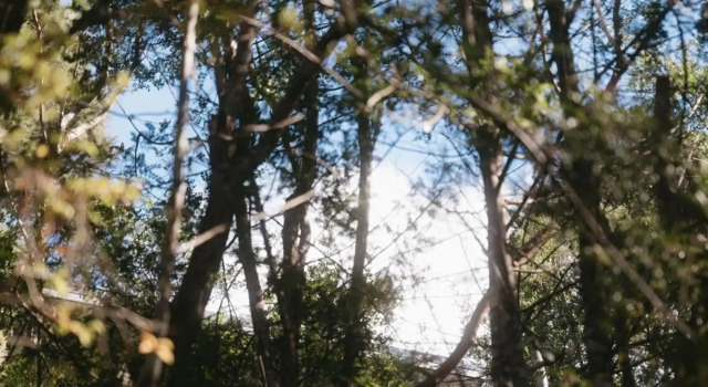Treetop Tranquility, Забронировать Отель Опуа Бей-оф-Айлендс