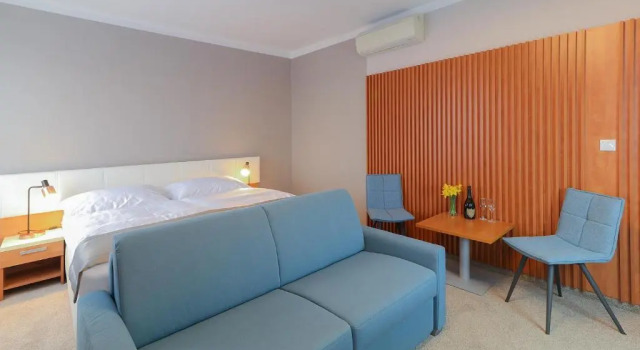 Двухместный номер Standard Hotel Karpatia