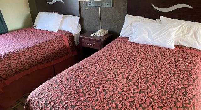 Четырёхместный номер Standard Budget Inn