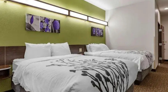 Номер Standard Sleep Inn & Suites Kalamazoo Southwest