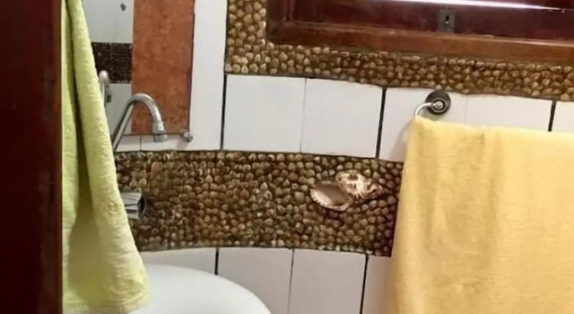 Двухместный люкс Pousada Acgua Residenz