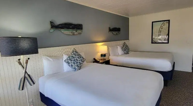 Номер Standard с красивым видом из окна Circle Hotel Fairfield
