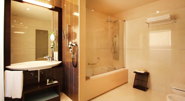 Двухместный люкс Deluxe BessaHotel Boavista