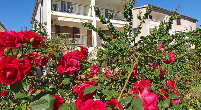 Apartment Ivka Cervia 10688