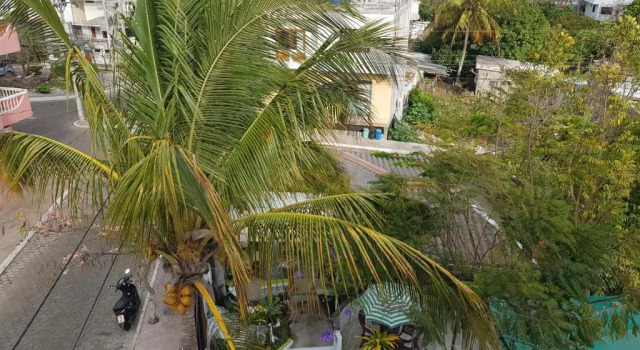 Двухместный номер Standard с балконом Hostal Cann's House
