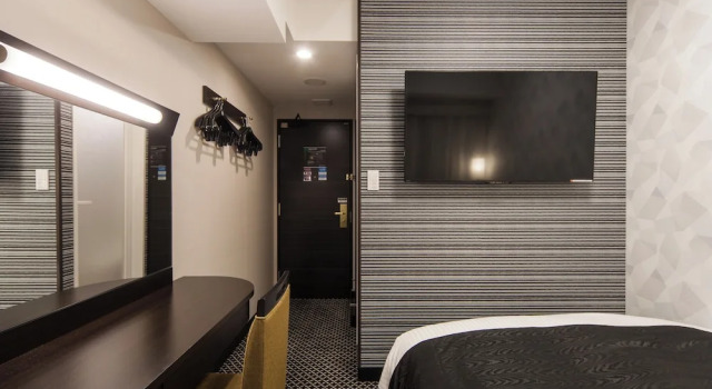 Двухместный номер Deluxe APA Hotel Iidabashi Ekimae