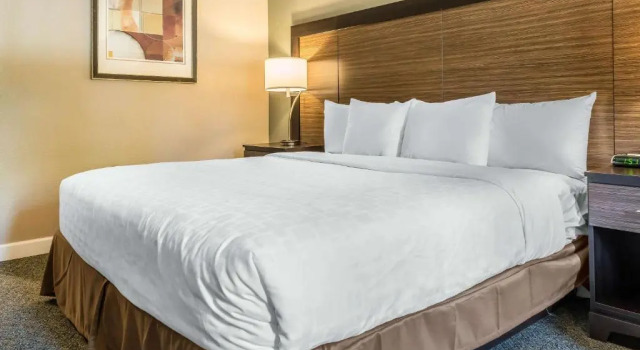 Номер Standard Clarion Inn Belle Vernon