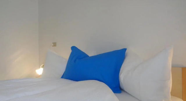 Двухместный номер Standard Hotel Garni Suisse