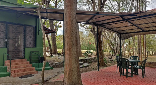 Номер Deluxe Bamboo Banks Farm & Guest House