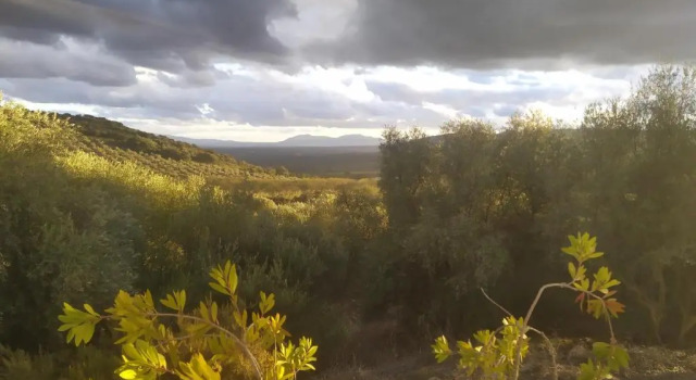 Вилла Casas Rurales Cortijo la Cañada