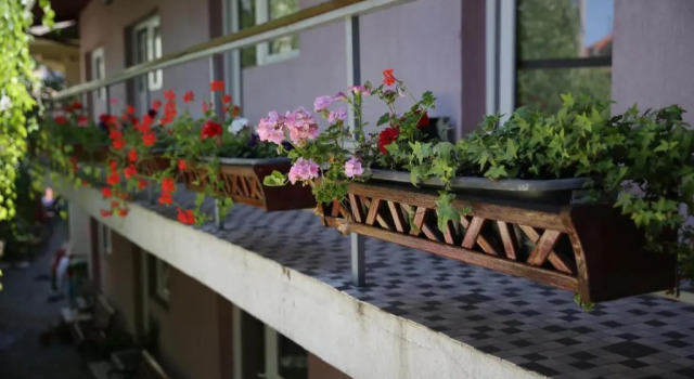 Студия Standard Vila Sia