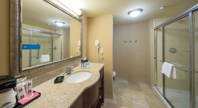 Двухместный номер Standard Hampton Inn Melbourne-Viera