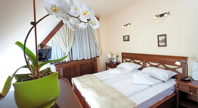 Номер Deluxe Pension Brasovu Vechi