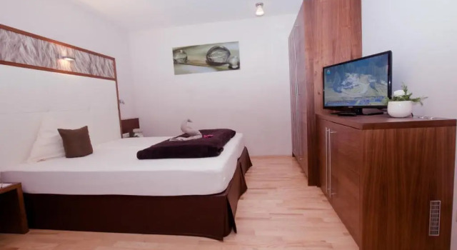 Двухместный номер Standard Hotel Jennys Schlössl