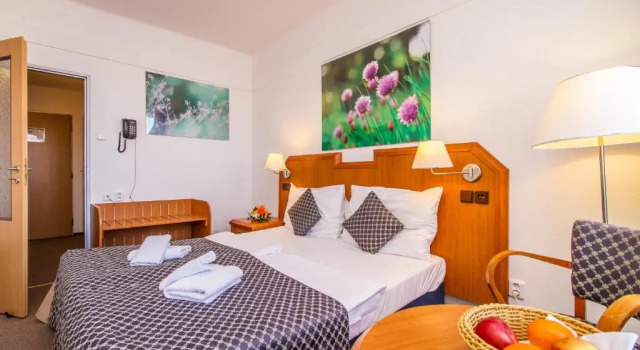 Двухместный номер Superior LH Hotel Mědínek Old Town