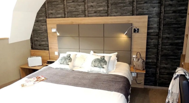 Одноместный номер Comfort Logis Hôtel-restaurant Les Coudercous