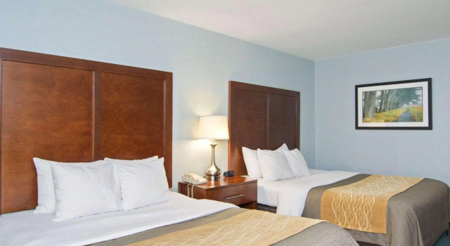 Comfort Inn Monticello, Boek Hotel Hotels in Virginia met ontbijt, Ontbijt