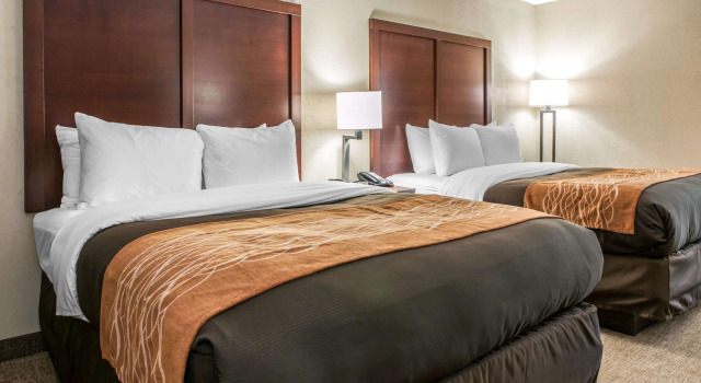 Четырёхместный номер Standard Comfort Inn Blue Ash North