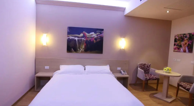 Одноместный номер Hotel Green