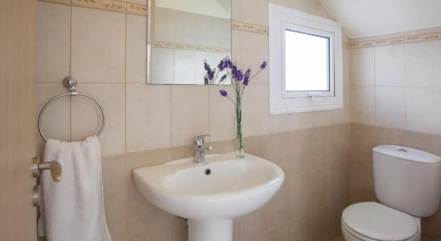 Vila Villa Clematis